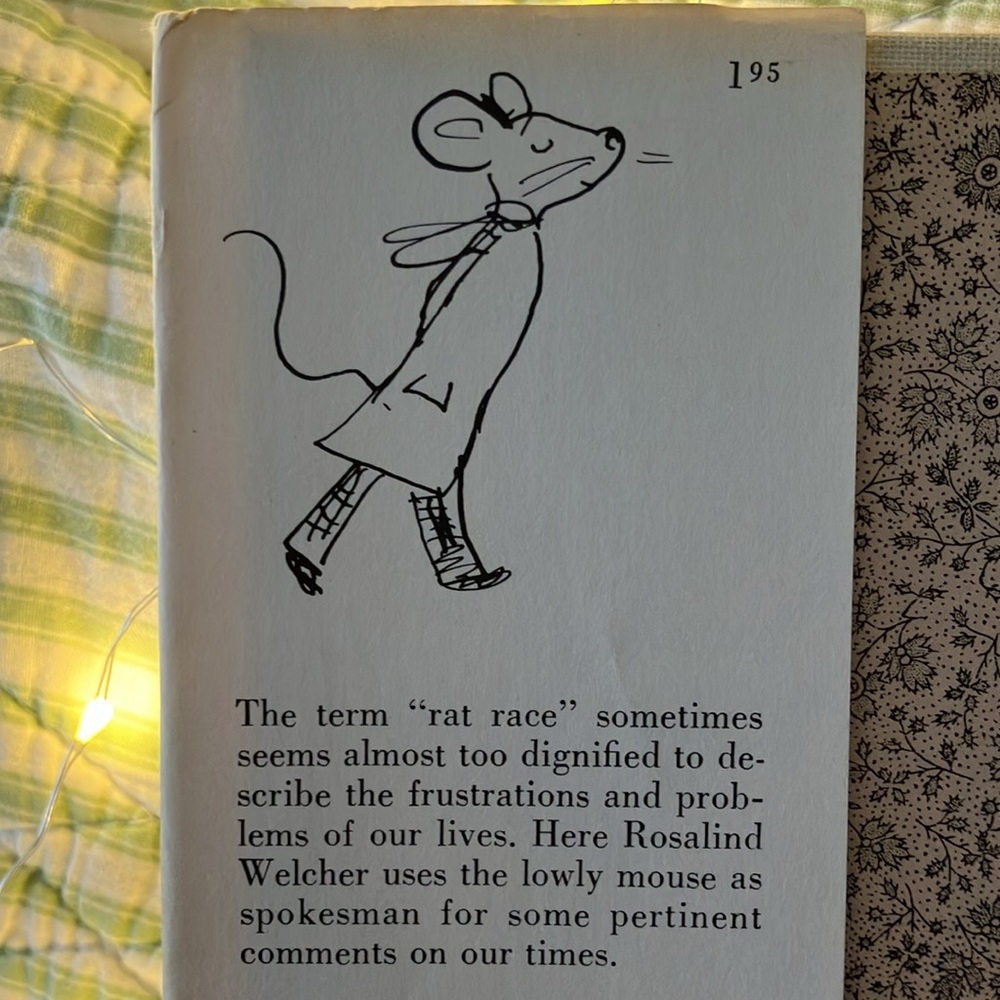 SQUEAKING BY by   ROSALIND WELCHER Panda Prints , Inc NY hardcover book - Picture 7 of 16